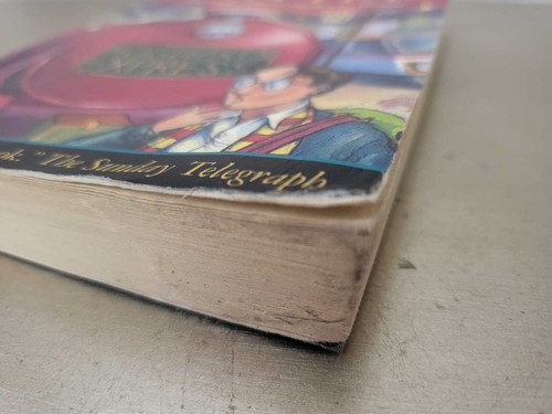 Harry Potter & The Philosophers Stone Original Cover Young Wizard/Dumbledore Ed - Picture 33 of 132