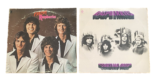RASPBERRIES 2 LPs: Fresh, Starting Over Featuring Eric Carmen | eBay