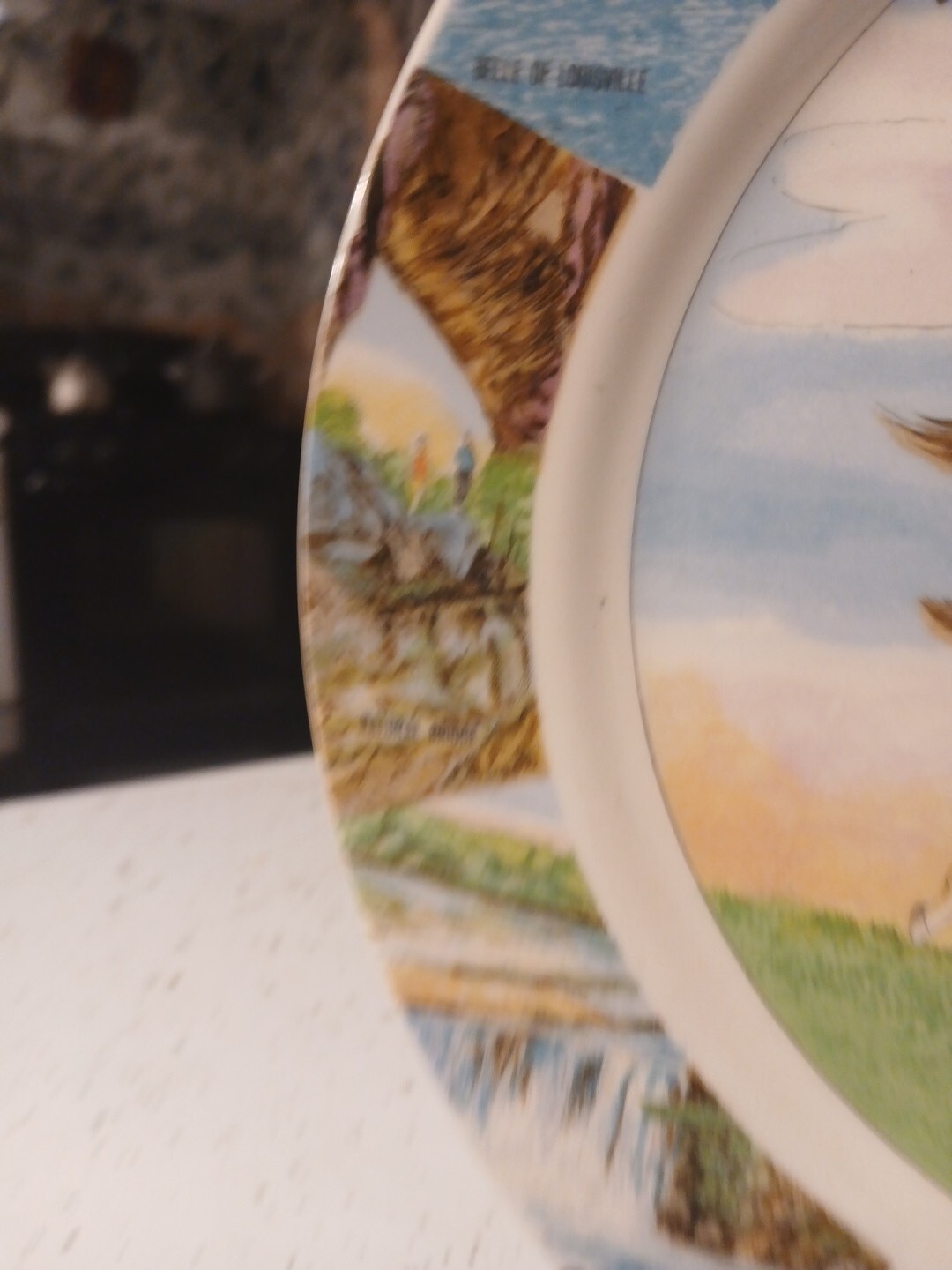 Vintage Souvenir  Kentucky The Blue Grass State Plate Ebrink Japan With Holder