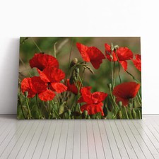 Red Poppy Field Flowers (5) Canvas Wall Art Print Framed Picture Home Decor