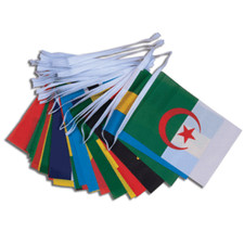African Nations Flag Bunting 15m 54 Country Flags - Black History Month Africa
