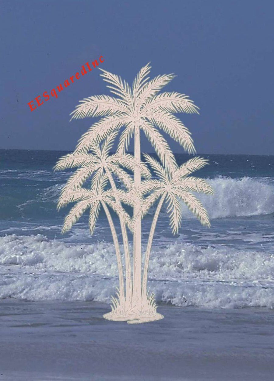 Imagen 5 de 10