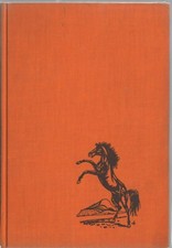 FURY - Albert G. Miller - Buch - m.i-45