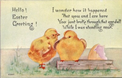Antique Postcard Hello Easter Greeting Yellow Chicks Eggshell  FA Owen Co 1910