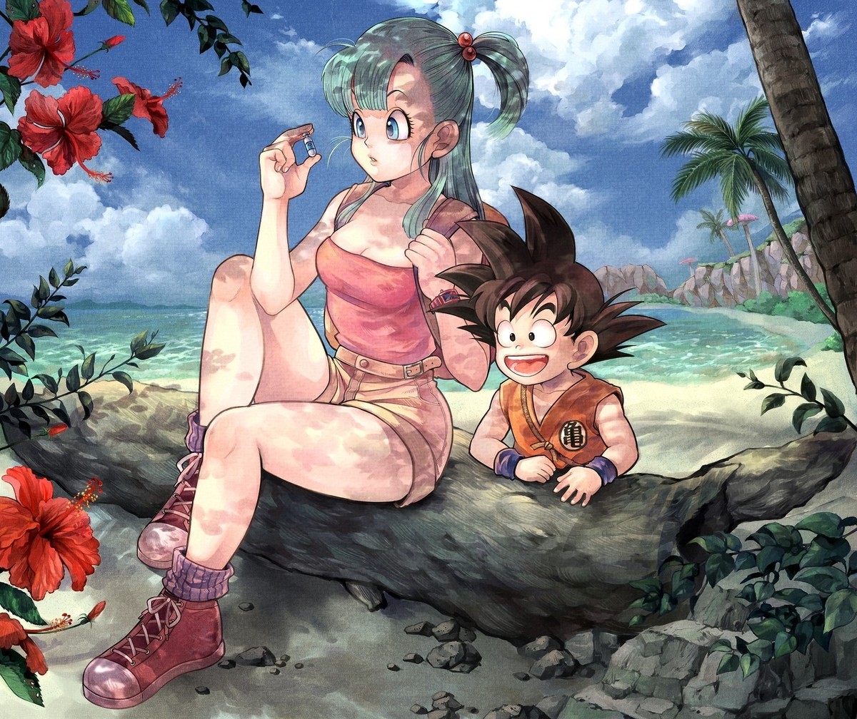 Anime Dragon Ball Z Bulma Son Goku 11x17 Poster | eBay