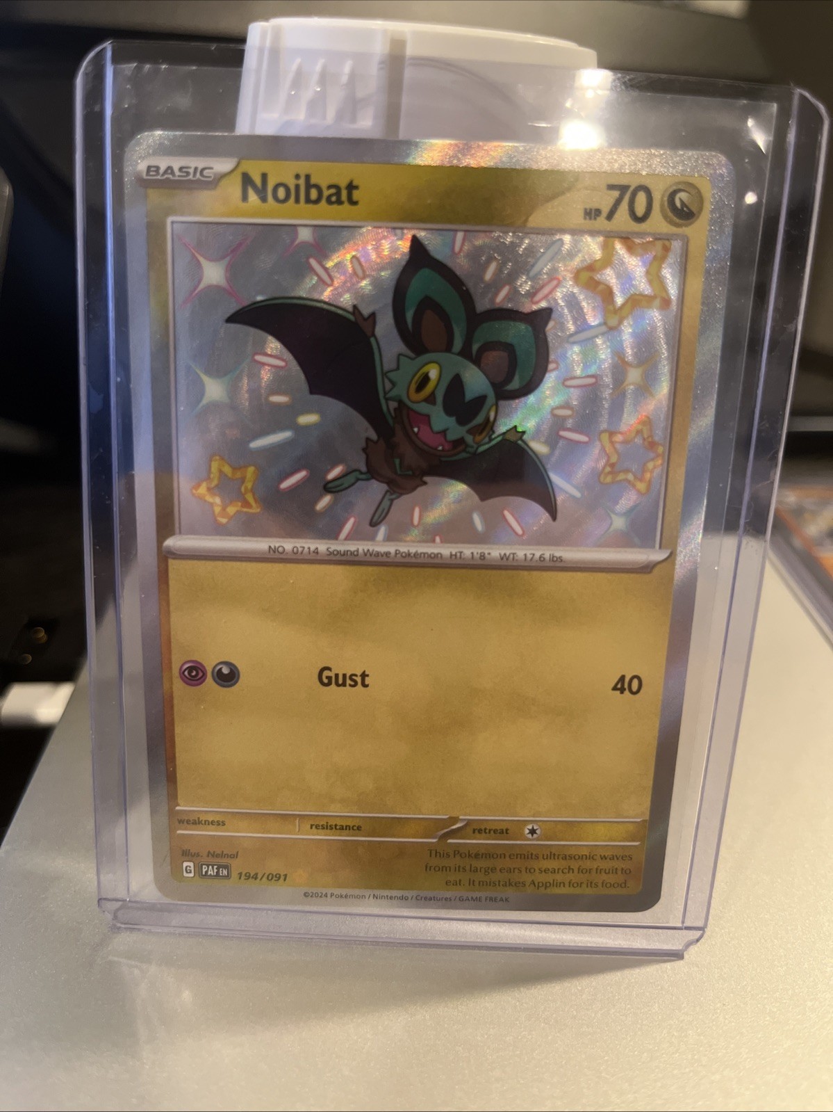 Noibat 194/091 Pokémon TCG Paldean Fates Holo Card NM/Mint Condition