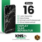 Bild 42 von 61