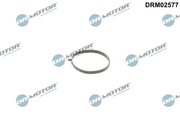 Dr. Motor Automotive DRM02577 Dichtung, Drosselklappe FüR Mazda-image