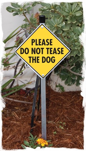 Please Do Not Tease the Dog Exterior Aluminum Dog Sign or Vinyl Sticker - Picture 2 of 6