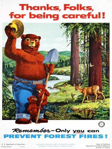 Smokey Bear- Only You Can Prevent Forest Fires New Metal Sign: 9x12" Ships Free - 第 1/1 張圖片