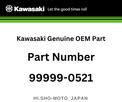 Kawasaki Genuine OEM Part 99999-0521 Fuel Filter Kit Ninja ZX