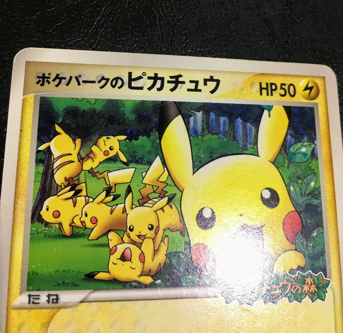 Pikachu Pokepark Promo 043/PCG-P 2005 Pokemon Card Japanese Pikachu Pokepark Promo 043/PCG-P 2005 Pokemon Card Japanese