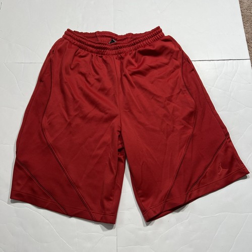 Vintage Y2K Jordan Basketball Shorts 