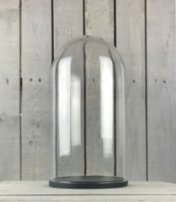Large Glass Dome Cover Cloche Display With Black Wooden Base 40 x 15 cm