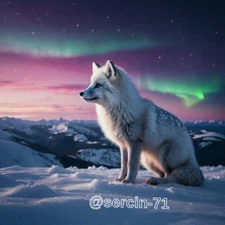 Digital Image Picture Photo Wallpaper Background Desktop AI Art Sample Product