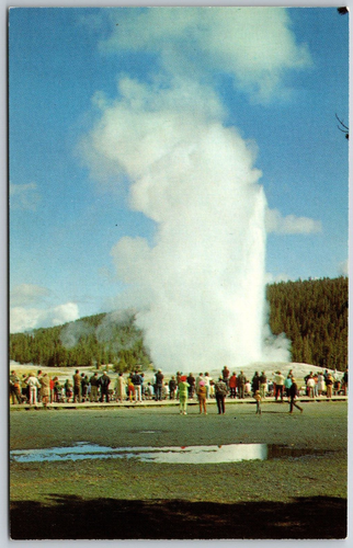 Postkarte Wyoming Yellowstone Nationalpark WY alter treuer Geysir