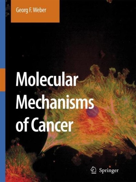 Molecular Mechanisms Of Cancer Georg F. Weber-image