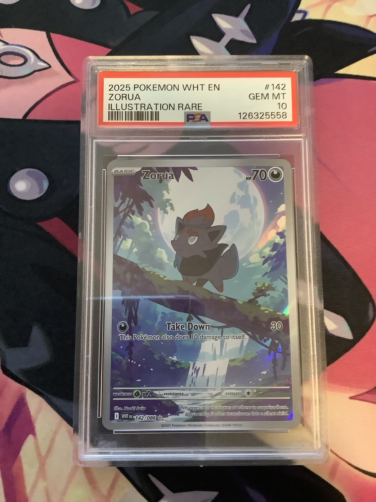 ZORUA 142 POKEMON WHT EN-WHITE FLARE ILLUSTRATION RARE PSA 10 GEM MINT 2025