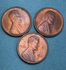 1909-VDB AU Lincoln Wheat Cent Lot (3) About Circulated. Old Private Collection