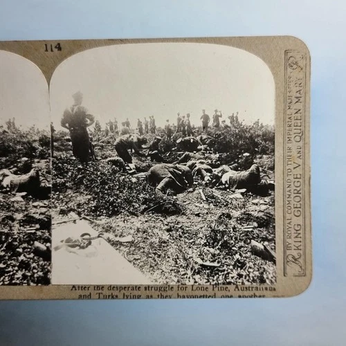 WW1 Military Stereoview C1916 Real Photo Turkey Gallipoli Australian Casualties