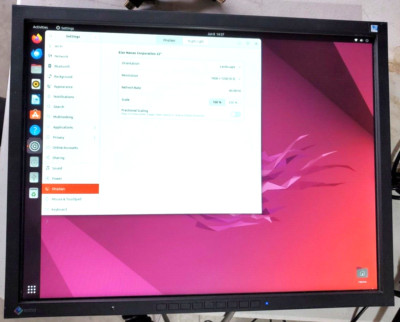 EIZO FlexScan S2133 21.3'' IPS LED LCD Medical Monitor *NO STAND*