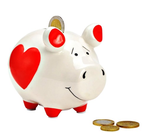 Spardose Sparschwein Hochzeitsschwein Hochzeitsgeschenk Sparbüchse Gelddose XXL - Picture 55 of 55