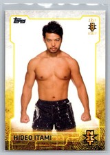 Hideo Itami 2015 Topps WWE NXT Prospects #6