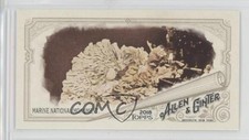 2018 Topps Allen & Ginter Mini Marine National Monument #84 02qc