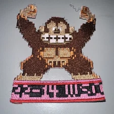 Naval Air Station Pensacola Undergraduate Combat Systems Class 22-14 WSO Patch