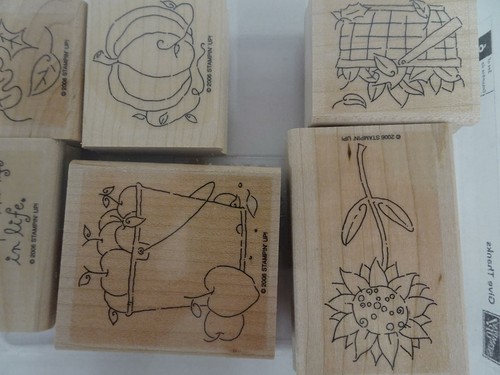 Stampin' Up Set of 6 Rubber Stamps Give Thanks 2006 Pumpkin Apples Flowers - Picture 3 of 6