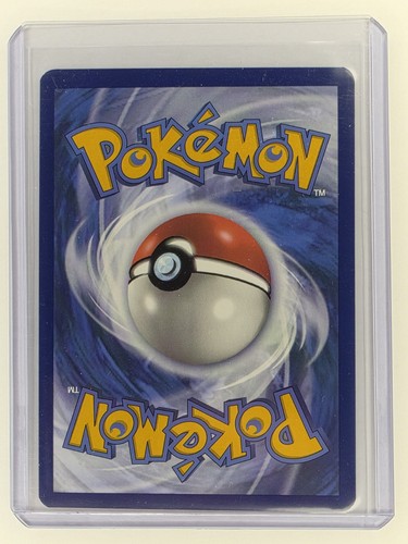 Lileep Holofoil 145/142 Stellar Crown Illustration Rare Pokemon Karte NEAR MINT N - Bild 2 von 2