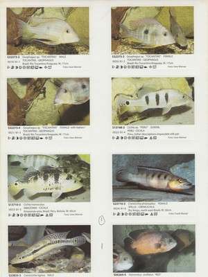 [73975] 1990's AQUALOG  SUPPLEMENT STICKUPS