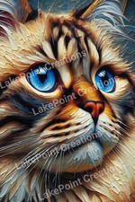 Cat with blue eyes Digital Image Picture Picture Pic Wallpaper Background