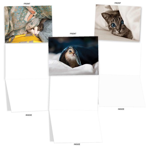 The Best Card Company - 20 Adorable Cat Greeting Cards (4 x 5.12 Inch) - Blan... - Picture 4 of 9
