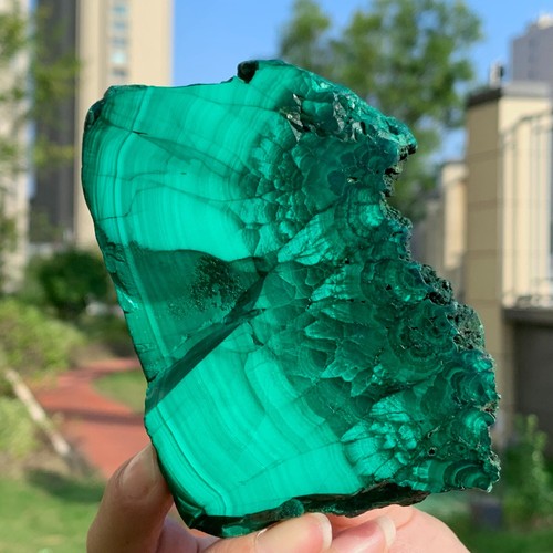 335G Malaquita Natural Brillante Transparente Racimo Muestra Mineral Áspero - Imagen 18 de 19