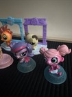 Picture 4 of 8