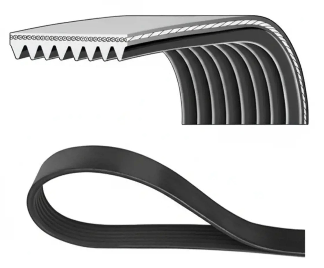 DAYCO 8PK1295 Cinghia Poly-V - Immagine 2