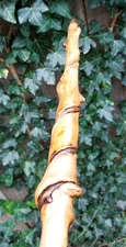 20" - Hand Carved - Spiral Maple Wood - Wand - Wizard - Witch - Wiccan - Pagan V