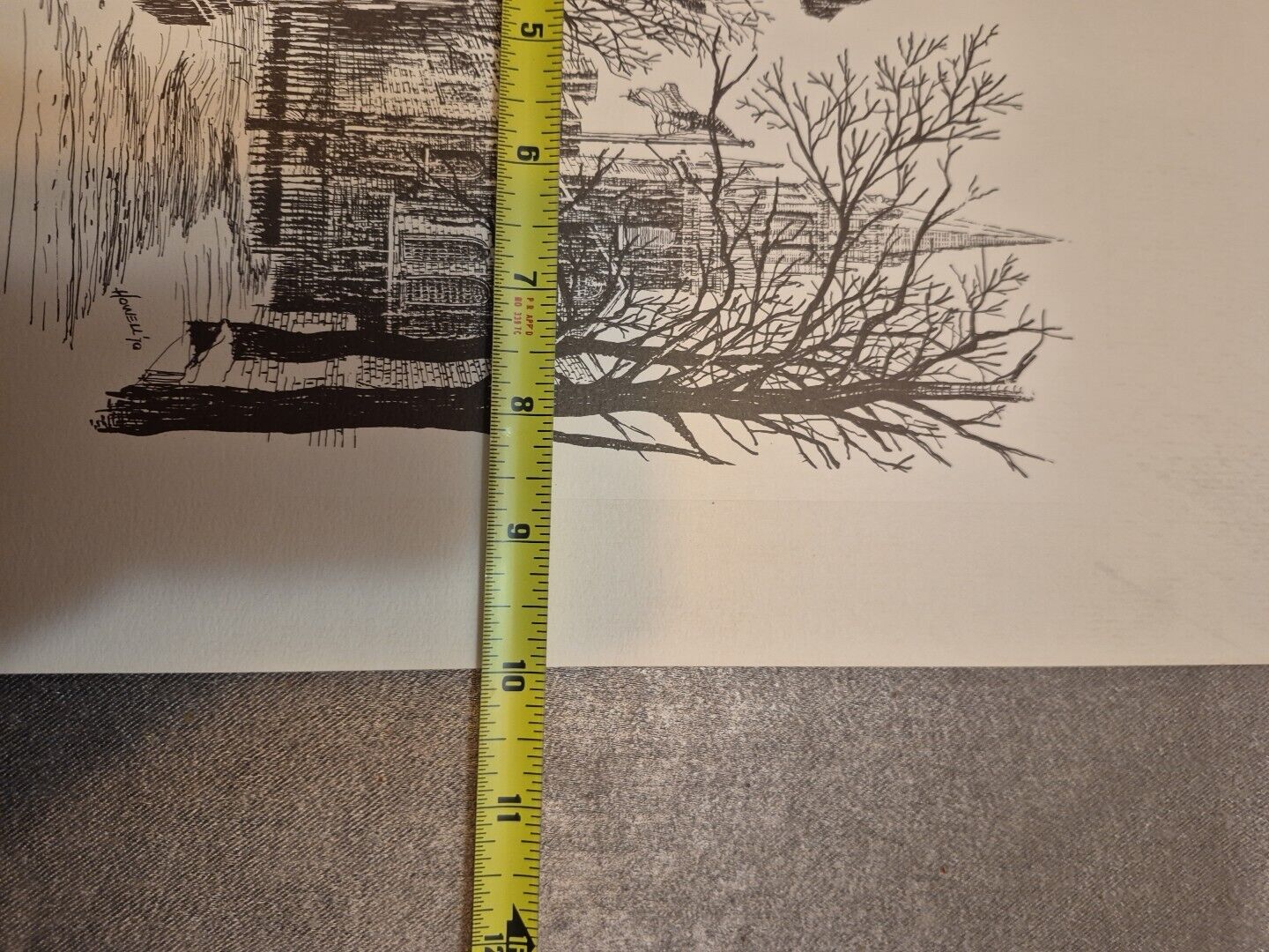 Picture 18 of 18