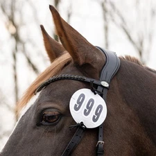 QHP Prim Basic Bridle Number Holder (Pair) QHP