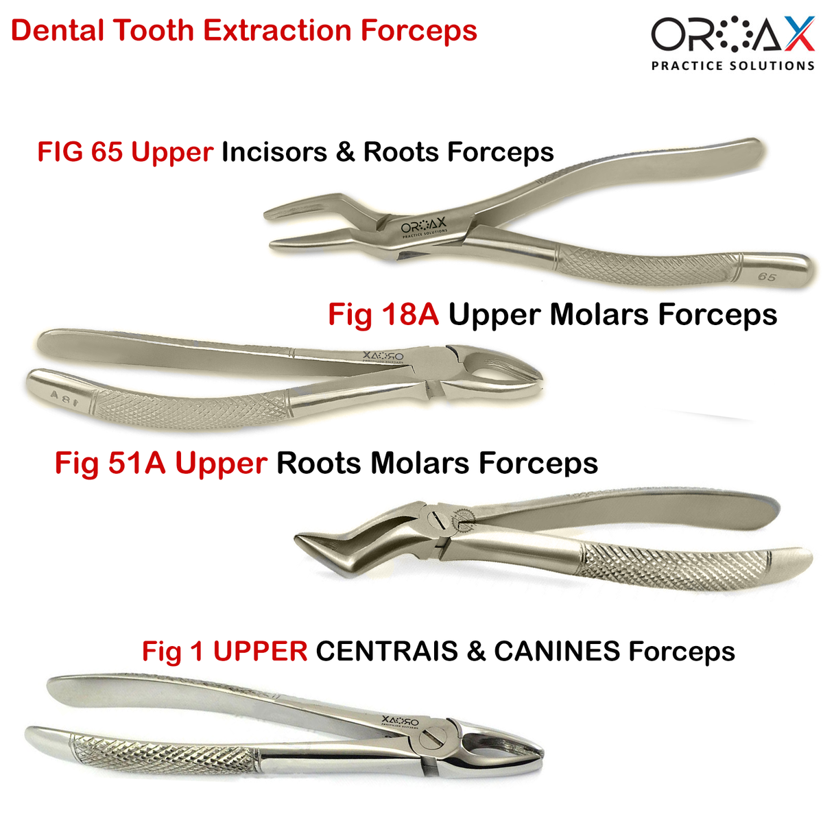 Pinza Dentale Per Estrazioni Fig. 51 – Forcipe Per Radici Superiori E Molari – Strumento Chirurgico In Acciaio Inox – ODM