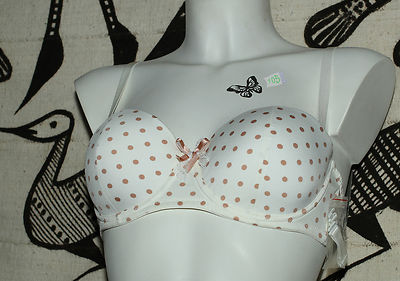 Neu @@ Bh Körbchen Trägerlos LINGADORE Daily + Fr 85B/85D /90D/95B/95D