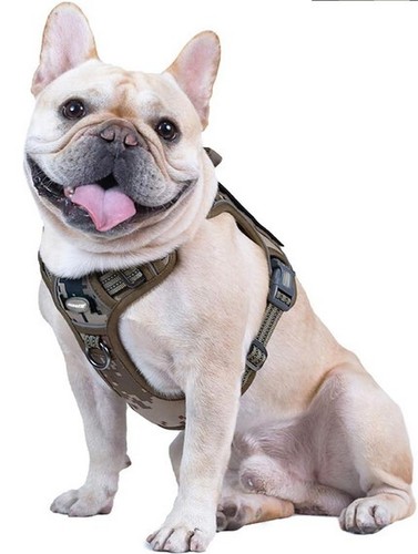 Tactical Dog Harness with Handle No-pull Large Military Dog Vest US Working Dog - Picture 18 of 19