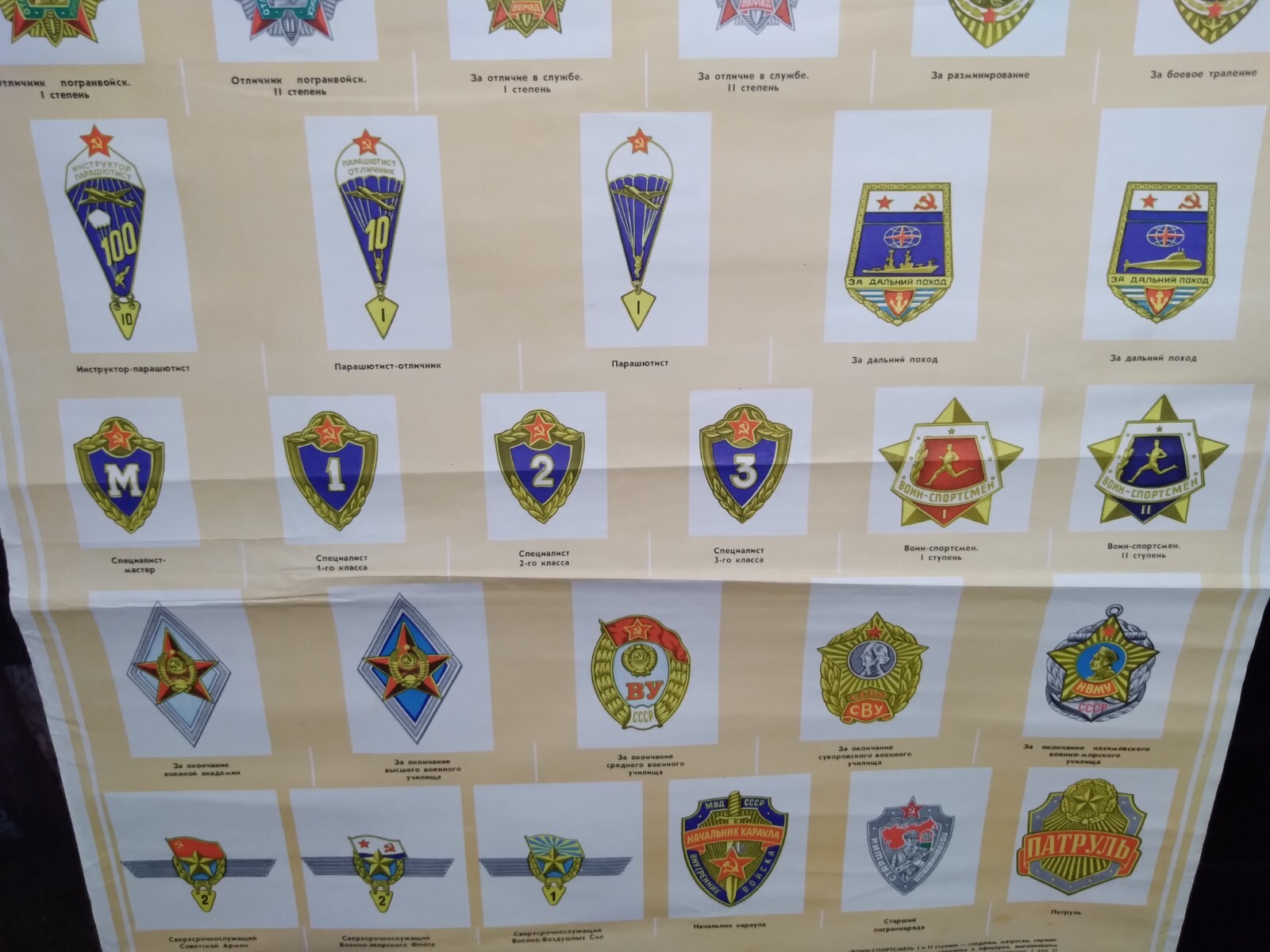 Imagen 9 de 24