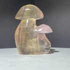 Bild 12 von 12