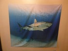 3 FABRIC POSTERS ~ 1 SHARK & 2 TURTLES!!! — photo 2