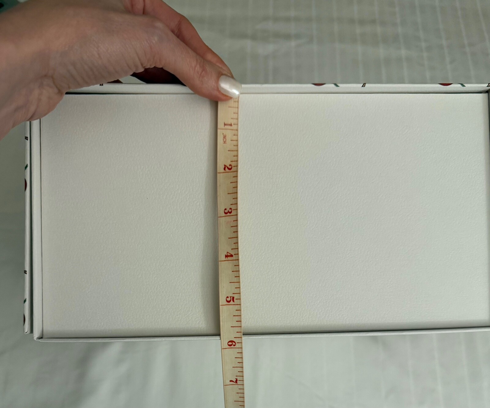 Louis Vuitton Murakami CHERRY EMPTY CARDBOARD BAG… - image 20