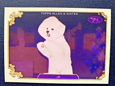 2024 Topps Allen Ginter Baseball: WESTMINSTER Dog Show Winners, volume discounts