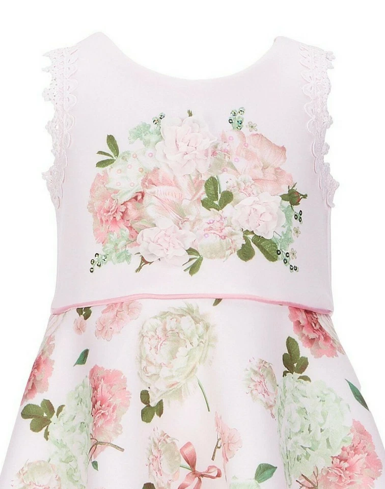 Biscotti Niña Pequeña Floral Buceo Gasa Flor-Aplique Fantasioso Vestido-4-6 Foto 2 de 4