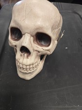 Realistic Human Skull, Life Size - Halloween Decoration